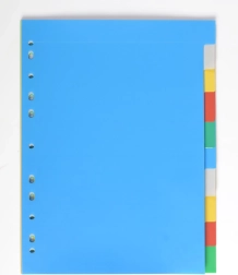 Separator A4 din polipropilenă, 10 culori