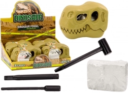 Săpături arheologice Dinozauri Fosile Craniu