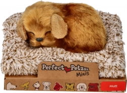 Cățelușul mic Perfect Petzzz