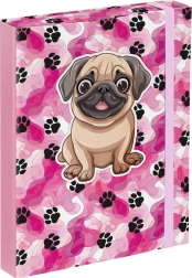 Dosar pentru caiete școlare A5 - Lăbuțe