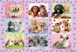 Puzzle Schmidt Prietenii mei animăluțe 100 piese