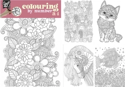 Pictură după numere A4 cu creioane duo