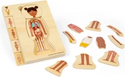 Bigjigs Toys puzzle din lemn anatomie – fată