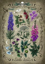 Puzzle Plante Otrăvitoare 1000 Bucăți