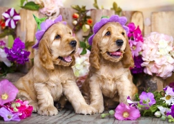 Puzzle cu cățeluși Cocker Spaniel cu pălărioare florale 1000 piese