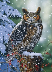 Puzzle Observatorul tăcut 500 piese ALIPSON