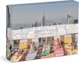 Puzzle Gray Malin câini în New York 1000 piese