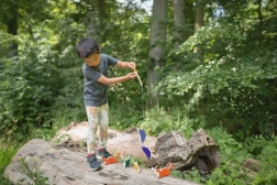 Jucăria Pe Urmele Crabilor