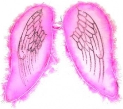 Aripi roz pentru înger și zână