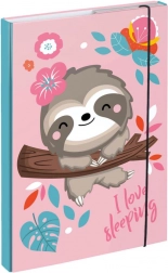 BAAGL Dosare pentru caiete școlare A4 Leneș