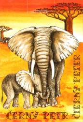 Negru Petr - Cărți de joc pentru copii Safari