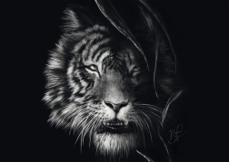 Puzzle Schmidt Sălbăticia tigrului – întruchiparea libertății 1000 piese