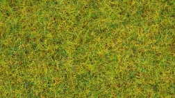 Iarbă statică Pajiște de Vară 2,5 mm