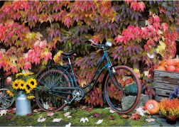 Puzzle Farmecul toamnei 1000 piese PIATNIK