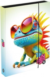 Cutie pentru caiete A4 Jumbo Chameleon