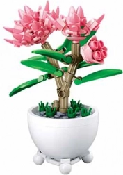 Sluban floare în ghiveci – bujori roz