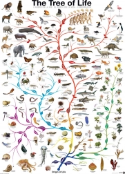 Puzzle EUROGRAPHICS Arborele Vieții 1000 piese