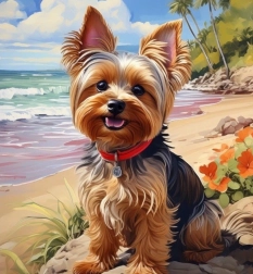 Pictură cu diamante yorkshire pe plajă 30 × 40 cm