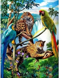 Norimpex pictura cu diamante papagali și leoparzi 30x40 cm