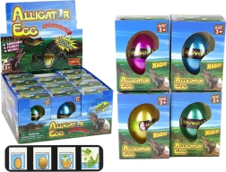 ou creștere aligator crocodil 6 cm