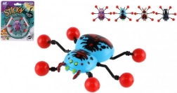 Păianjen Mergător pe Sticlă