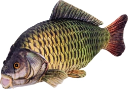 Crap de pluș 52 cm