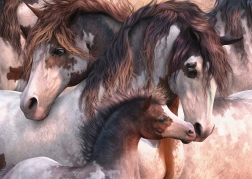 Puzzle Schmidt Cai Pinto 1000 piese