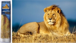 Pictură cu diamante Majestatea leului 30x40 cm