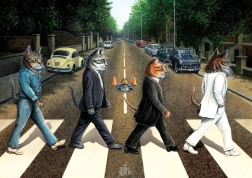 Puzzle Tabby Road 1000 piese