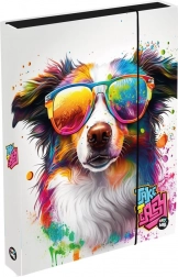 Cutie pentru caiete A4 Jumbo cu câine