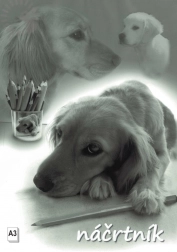 Caiet de schițe A3, 20 de foi