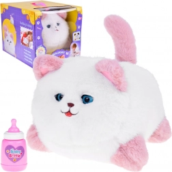 Pisica Interactivă Pusia