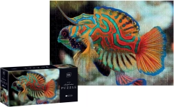 Puzzle Colorful Nature – dragonet mandarin, 250 piese