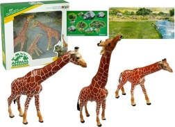 Figurine educaționale Familie de girafe 3 buc + Fundal Africa