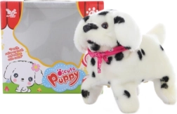 Căţeluş dalmaţian mergător cu salturi