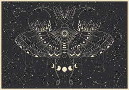 Puzzle Galaxy: Fluturele Lunar 500 piese