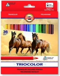 Creioane colorate triunghiulare KOH-I-NOOR TRIOCOLOR, 36 buc.