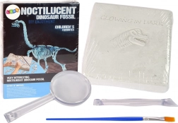 Set arheologic săpături schelet 3D dinozaur Brachiosaurus