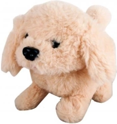 Căţeluş pe baterii bej