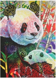 Puzzle Panda 1000 piese