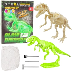 Set arheologic – schelet de dinozaur fluorescent cu unelte