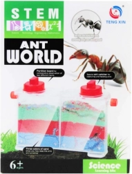 set creativ – lumea furnicilor