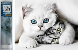 Pictură cu diamante Secretul pisicii 30 × 40 cm Norimpex