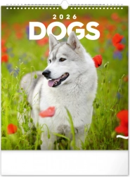 Calendar de perete Câini 2026