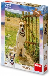 Puzzle GUMP Suntem o echipă 300 de piese XL