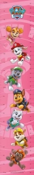 riglă de creștere PAW PATROL roz