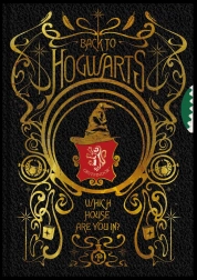 Harry Potter spinner bloc