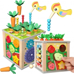 Cub educativ din lemn 6 în 1