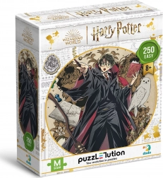 Puzzle DODO Harry Potter: Tânărul vrăjitor 250 de piese