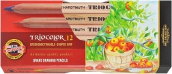Creioane colorate triunghiulare Triocolor 12 buc KOH-I-NOOR